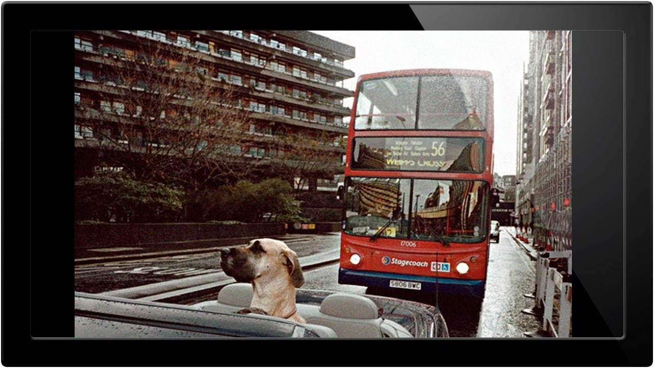 Back to Black and Into Color: Using Duotone and Tritone to Transform Your Photos