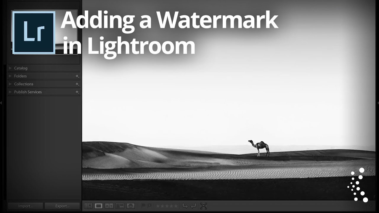 How to Add a Watermark in Lightroom Classic (Text or Logo, Done Right)