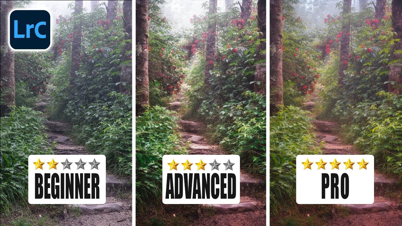 How to Control Where the Viewer's Eye Goes (And Why It Changes Everything)