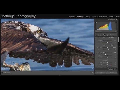 Lightroom From the Top: How Tony Northrup's Culling-First Workflow Will Change How You Edit