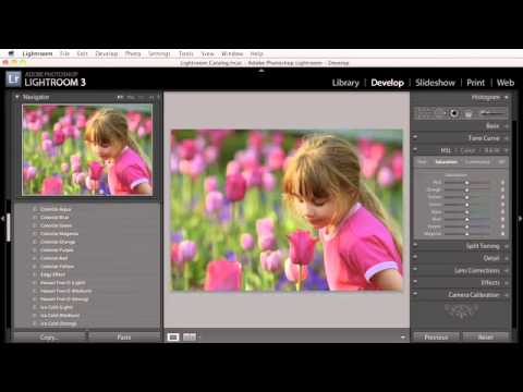 The Colorizing Preset Trick That Changed How I Browse My Catalog