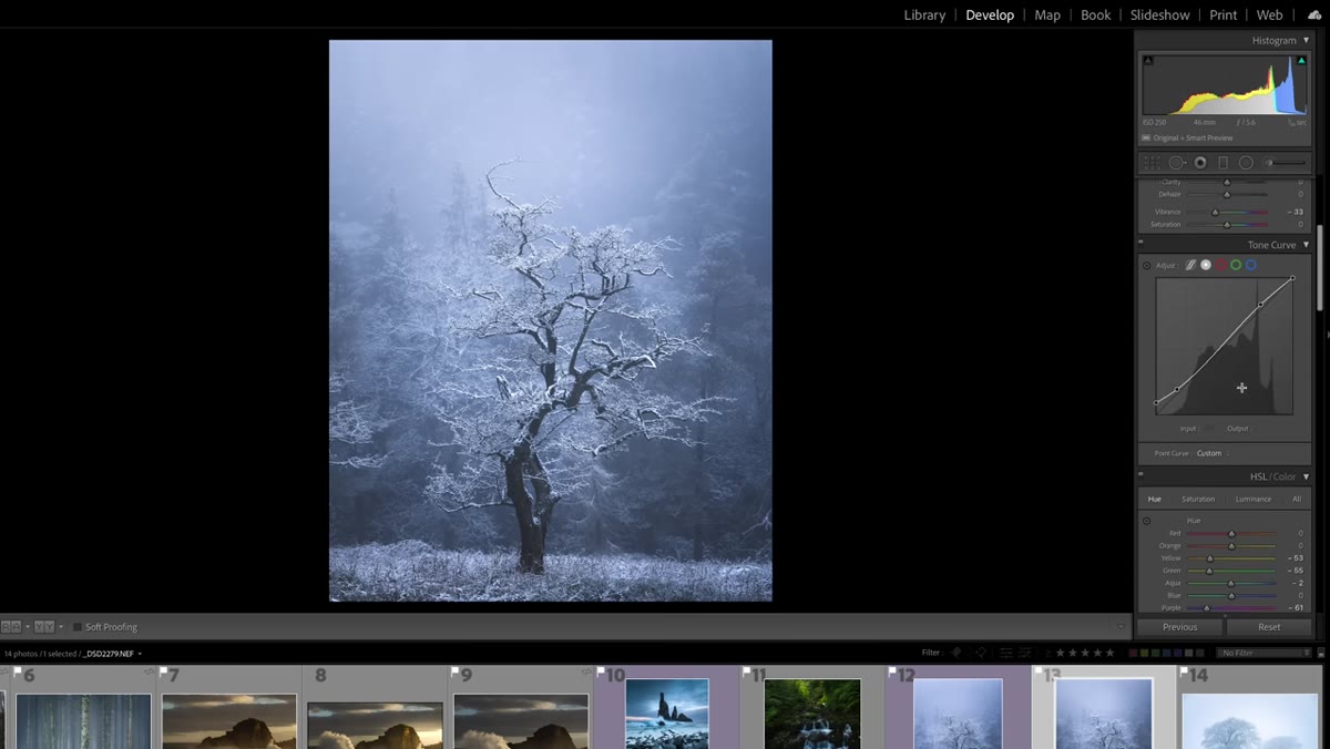 Basic panel showing highlights pulled down and shadows lifted on landscape image