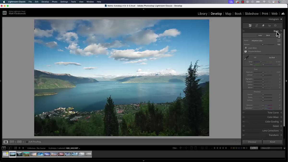 Before and after view showing tonal changes from Adaptive Color profile