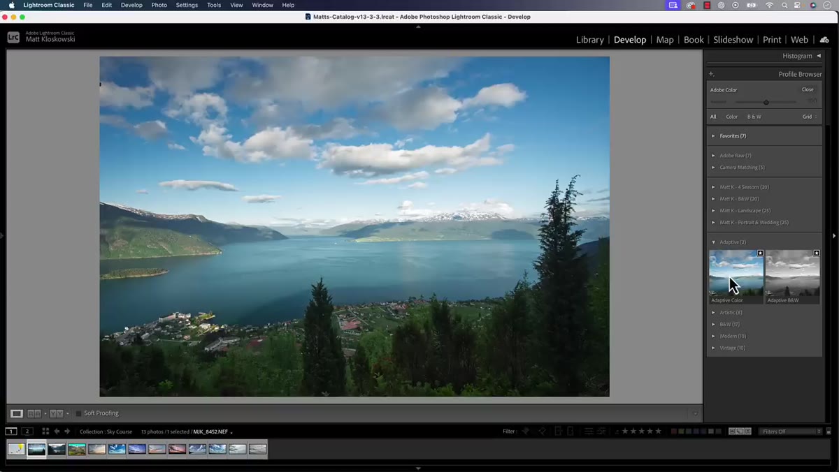Develop sliders visible after Adaptive Profile has been applied