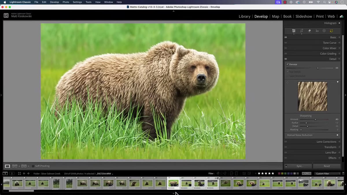 Filmstrip at bottom showing hero image highlighted brighter than selected group