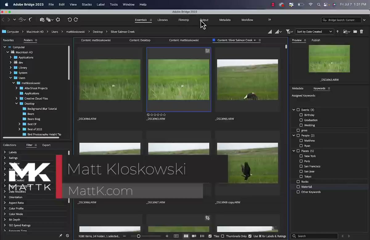 Adobe Bridge open as a file browser panel