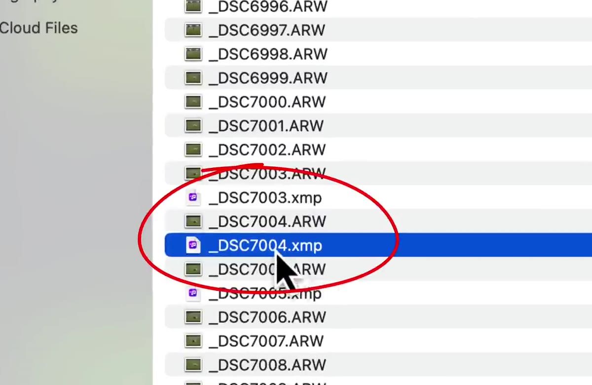 Finder window showing RAW file and .xmp sidecar file side by side