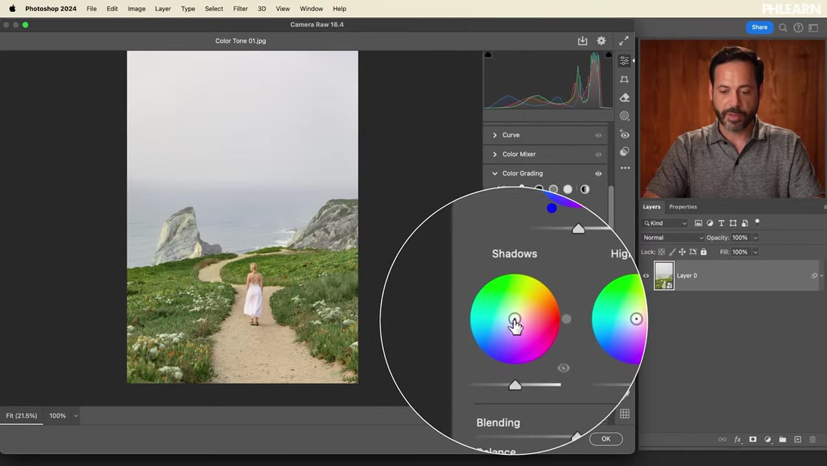 Adjusting midtones wheel with reduced saturation