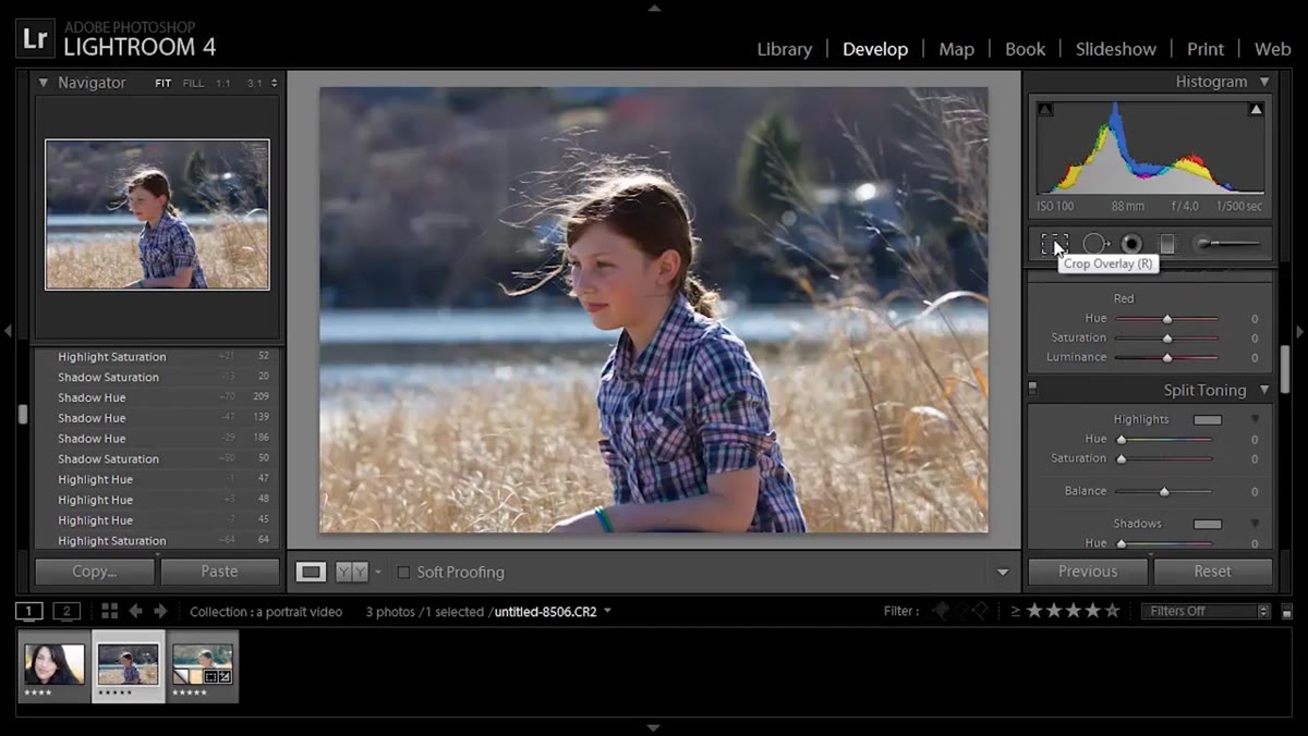 Crop tool active, subject being moved off center