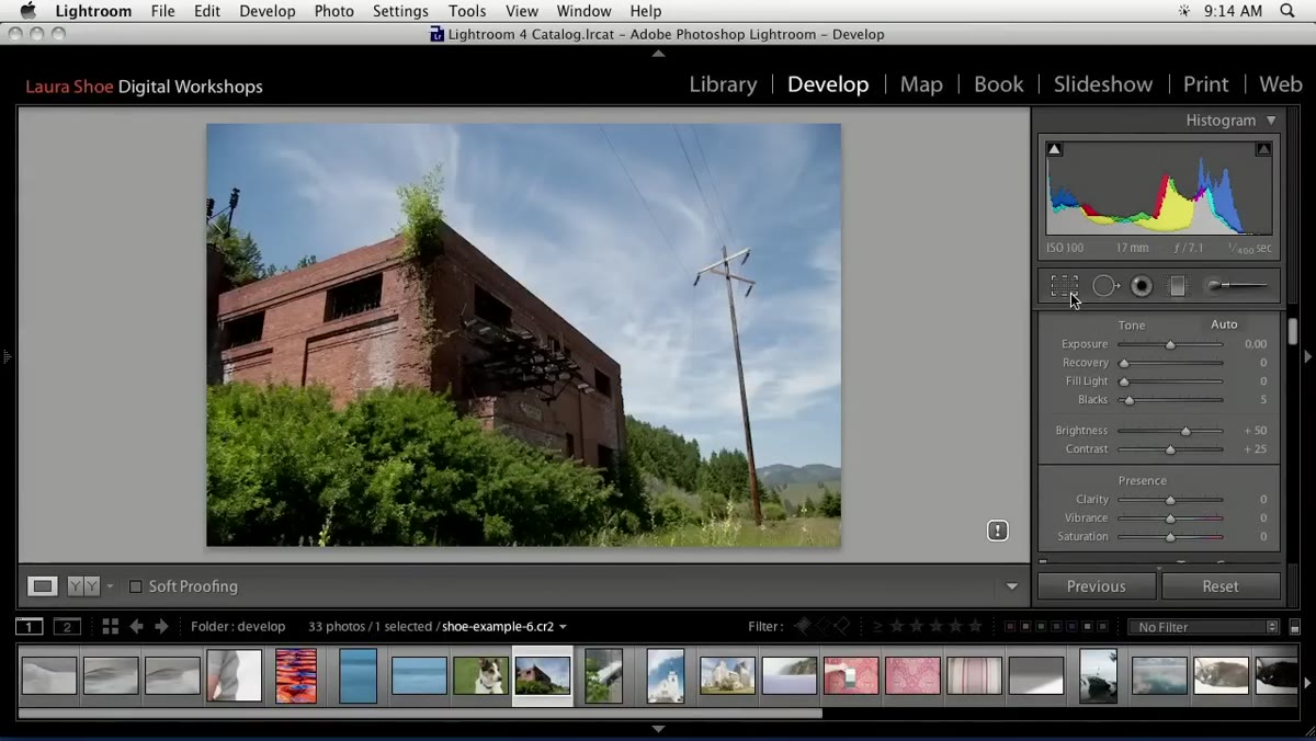 Crop tool being selected and applied to photo