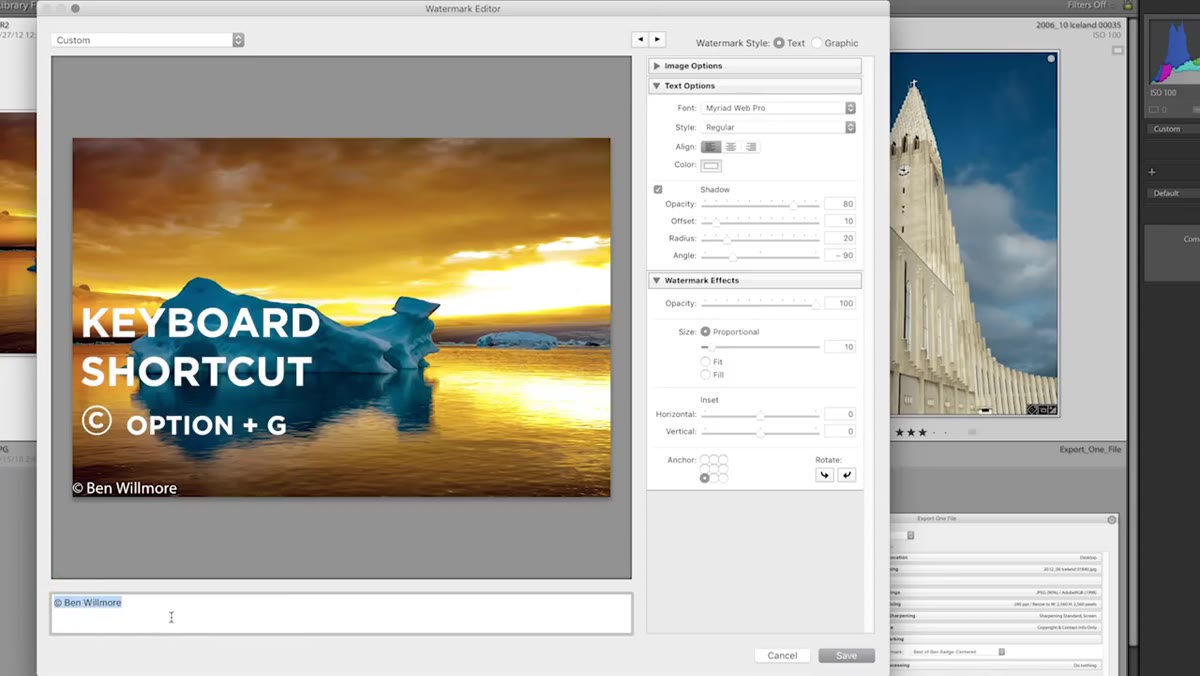 Typing watermark text in the lower-left text field