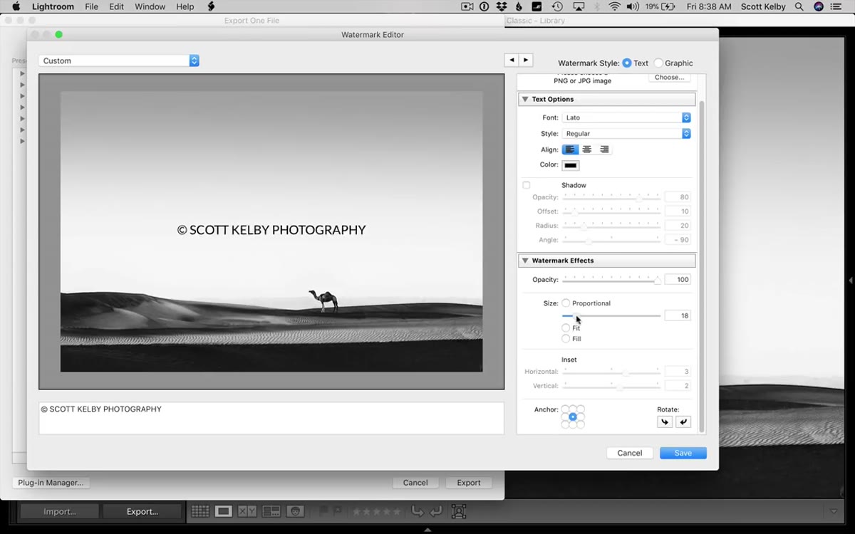 Opacity slider and size slider shown in the watermark options panel