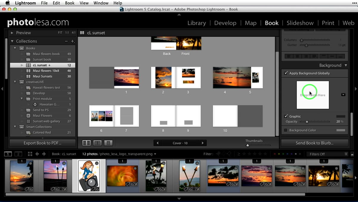 Background panel highlighted in Lightroom Book module