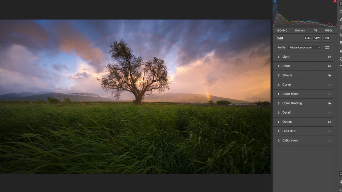 Lightroom color grading panel open with adjustments being applied