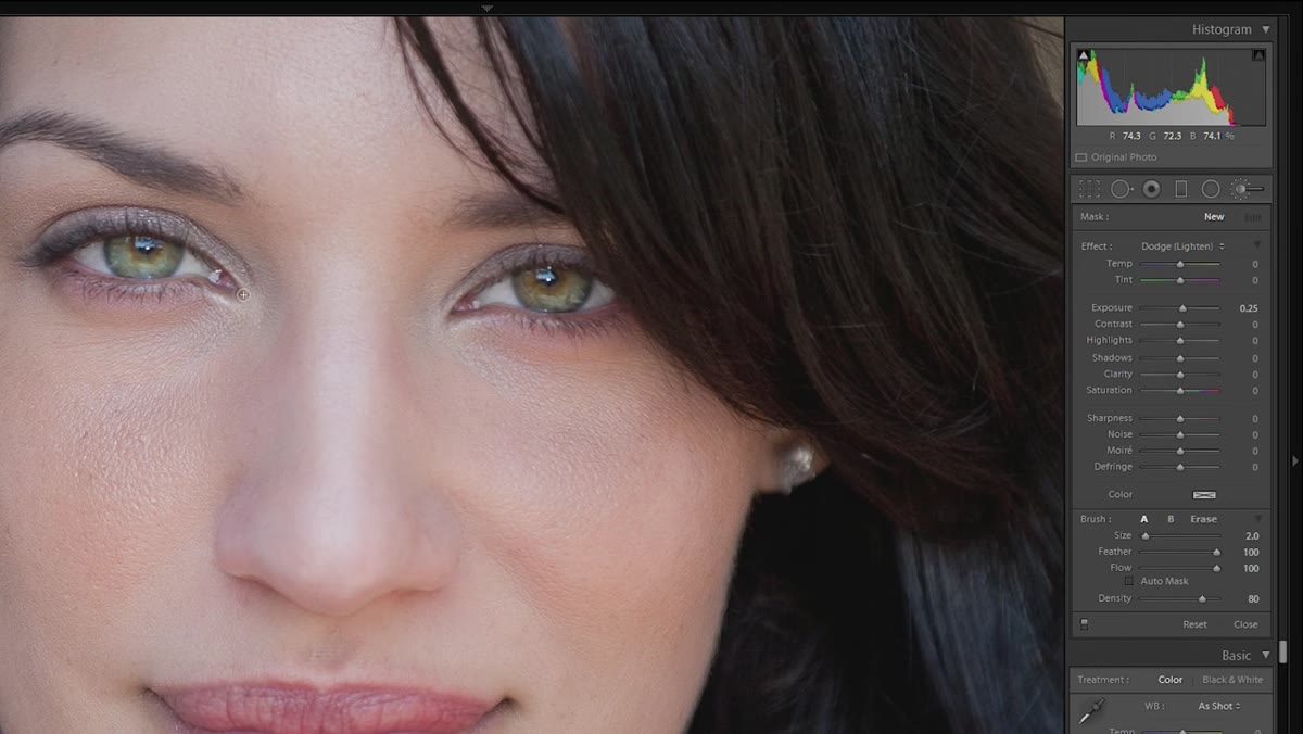 Highlight painted at inner corner and above pupil