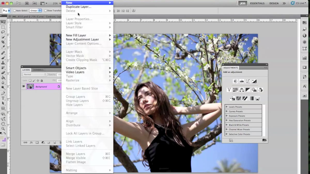Curves adjustment layer panel open in Photoshop