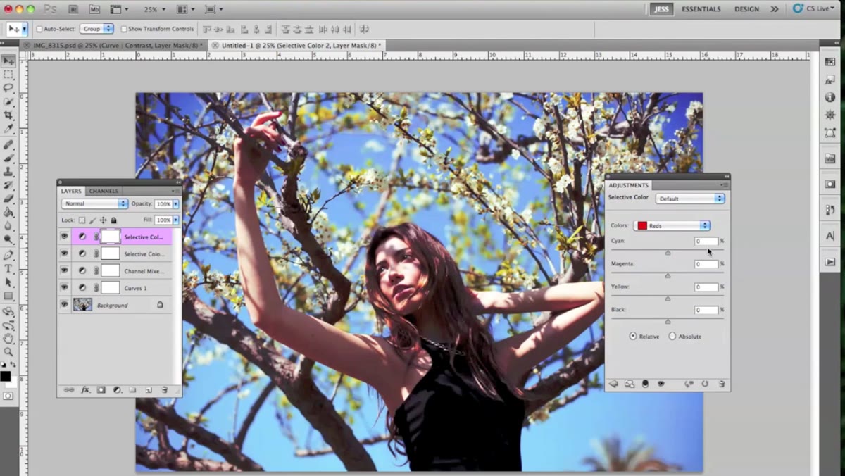 Second Selective Color layer, Reds channel selected