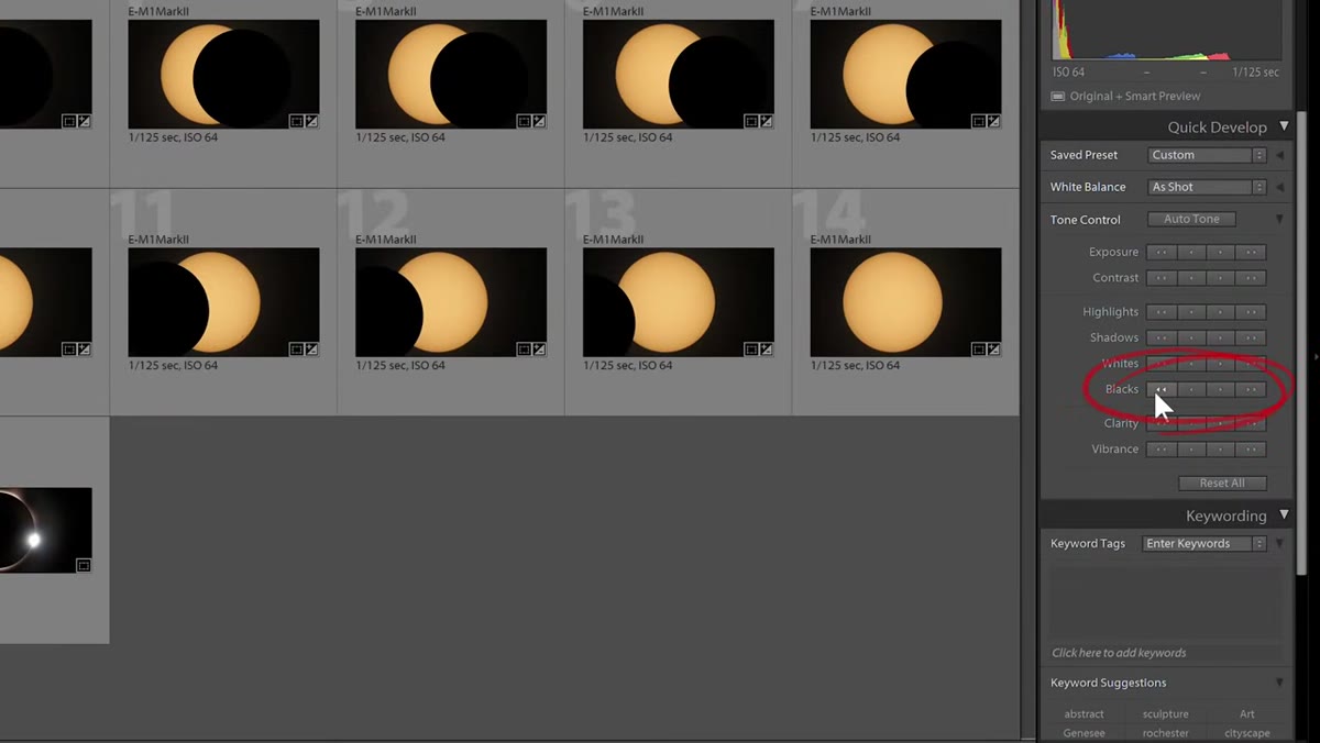 Lightroom Develop panel with Blacks slider pulled left toward negative values