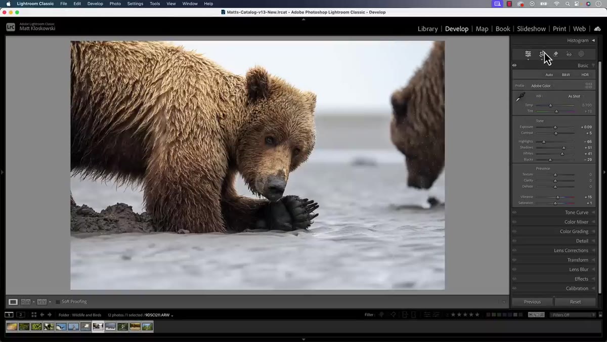 The Develop module with the eraser icon highlighted in toolbar