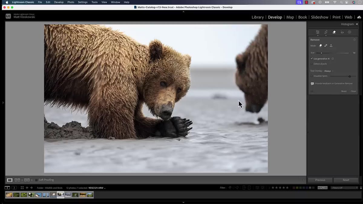 Detect Objects toggle visible in the Remove tool panel