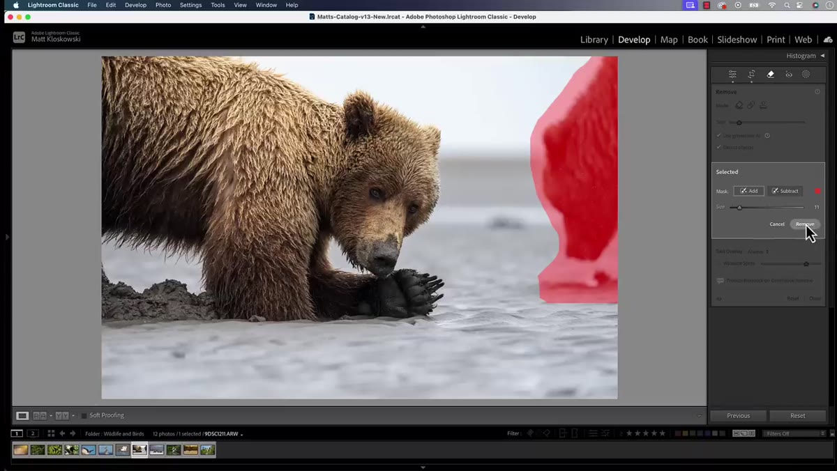 The Remove button being clicked and Lightroom processing the selection