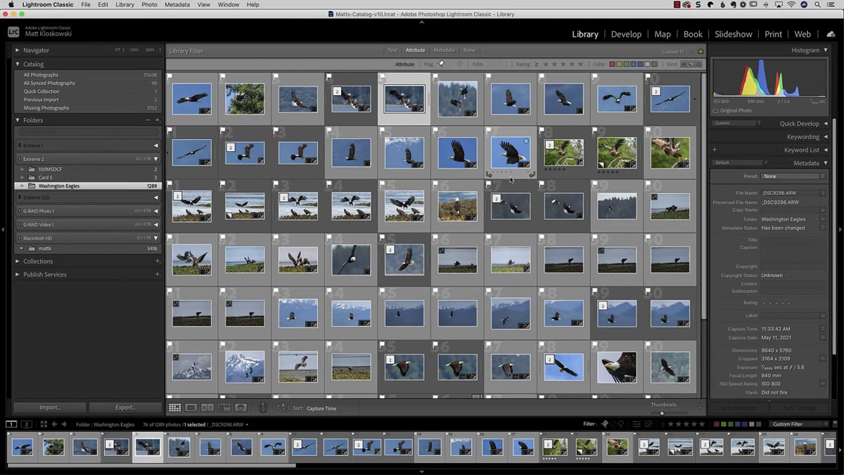 Sharing panel or export dialog open in Lightroom