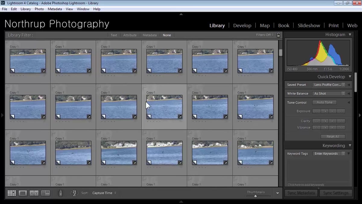Grid view showing filtered lower-rated photos being narrowed down