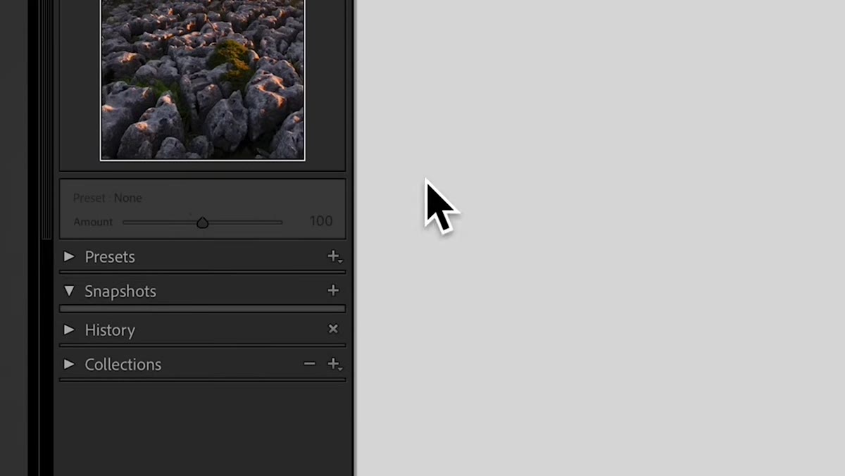 Presets panel open on the left side of Lightroom
