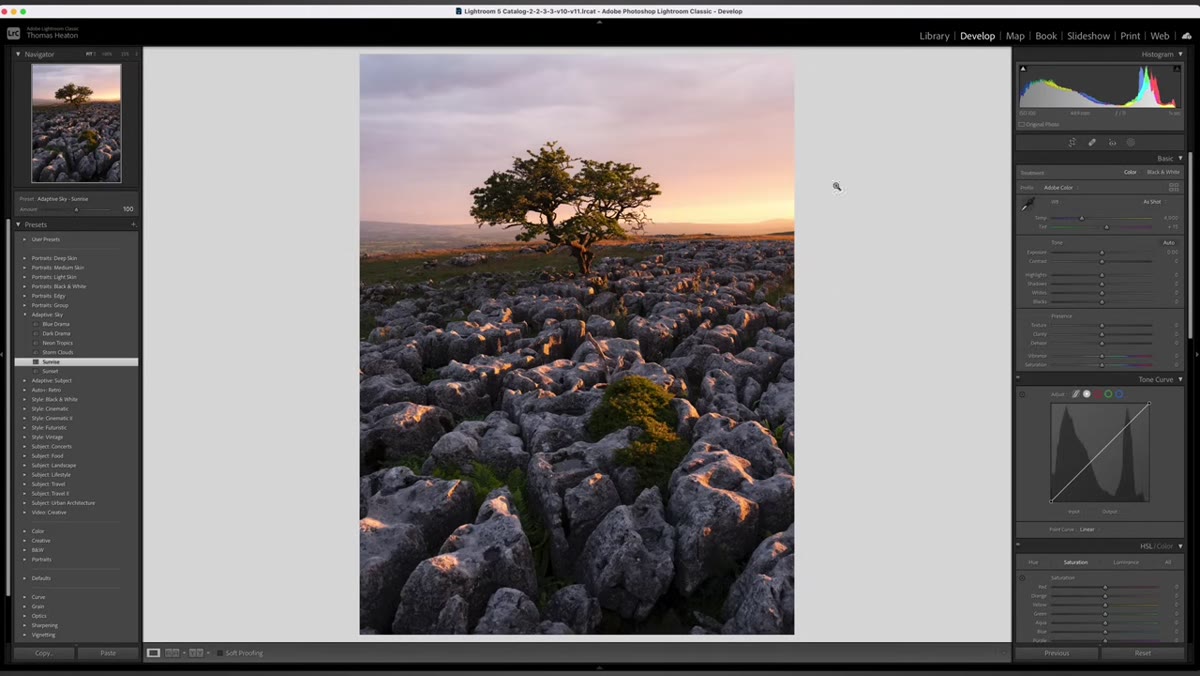 Mask panel showing sky selection after applying adaptive preset