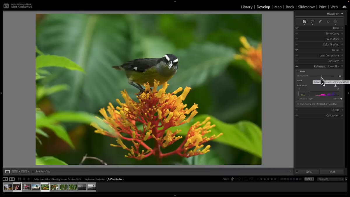 Lens Blur panel with Apply button and blur amount slider visible