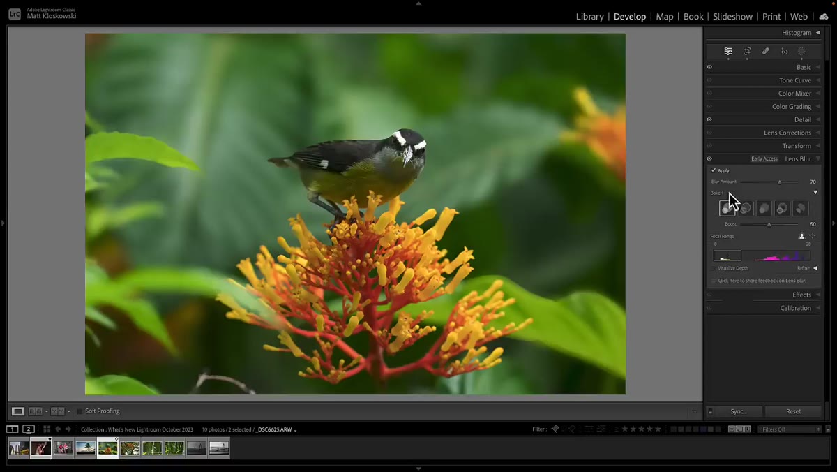 Bokeh shape selector panel showing various aperture blade options