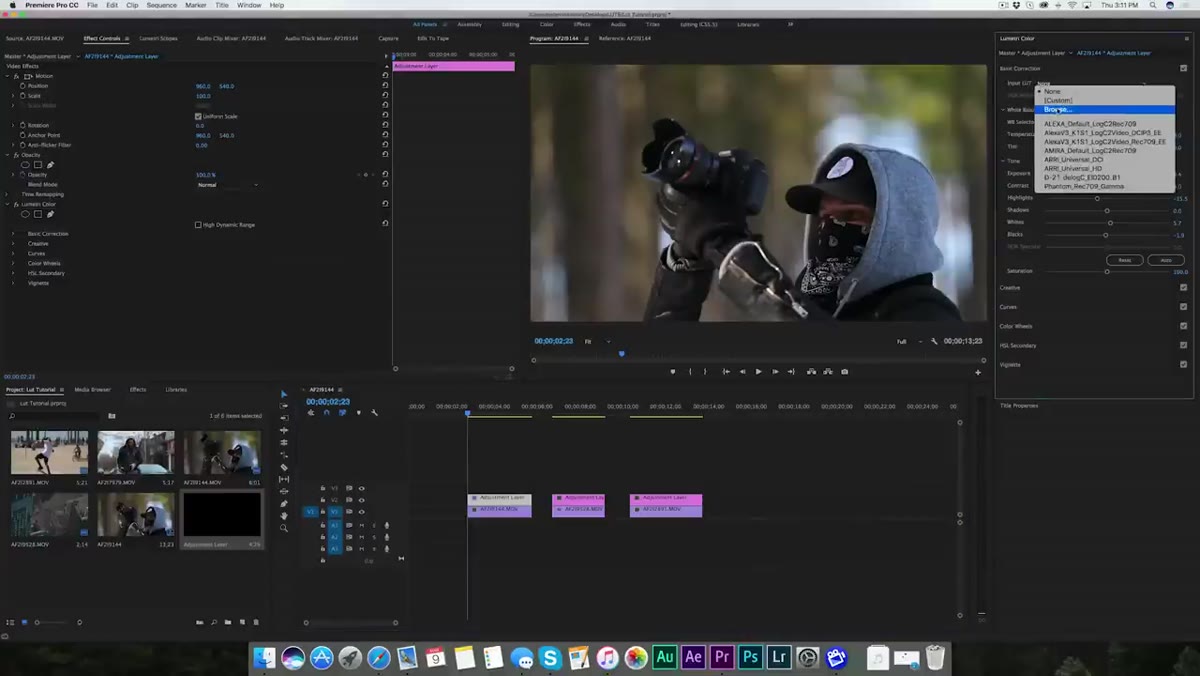 Lumetri panel showing &ldquo;Input LUT&rdquo; dropdown with Browse option highlighted