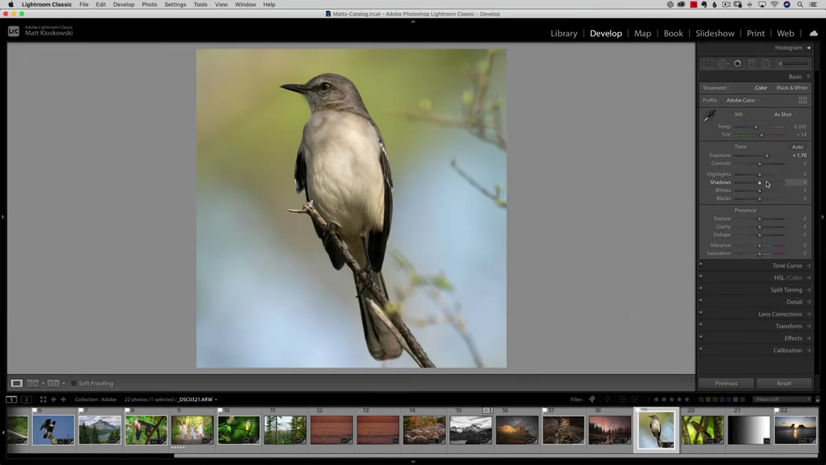 Shadows slider cranked up, showing flattened image effect