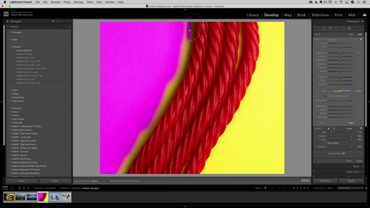 Adjustment brush painting over subject with Auto Mask toggle visible in panel