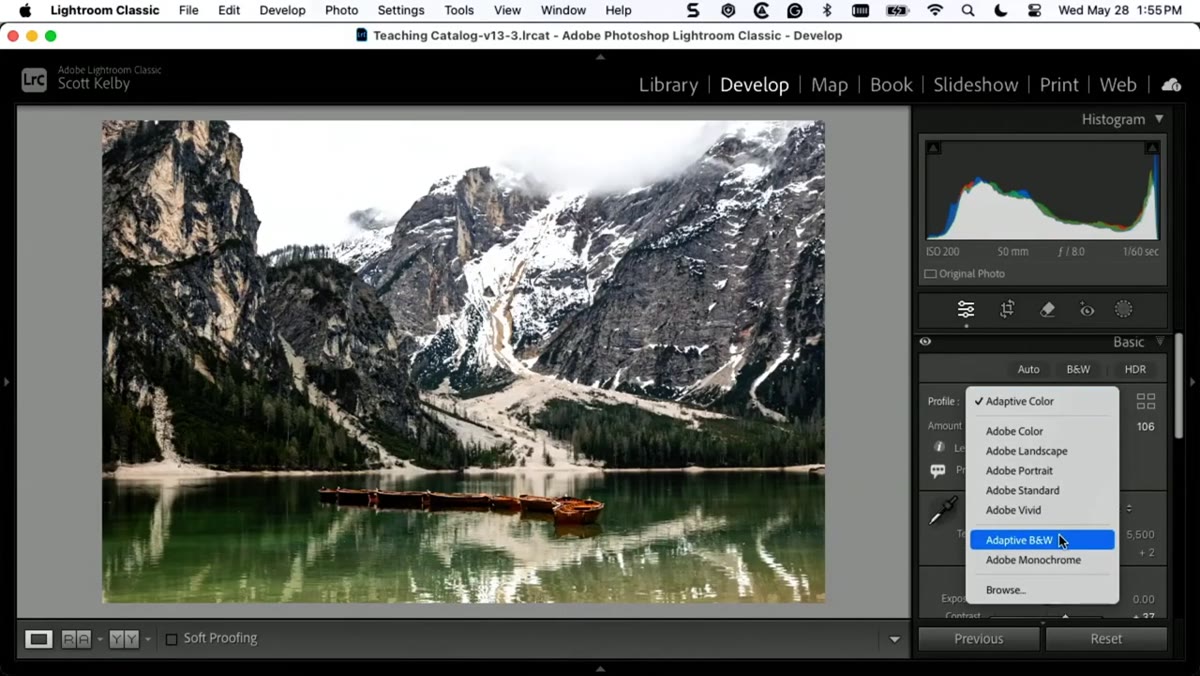 Adaptive Black and White profile selected in the Profile Browser