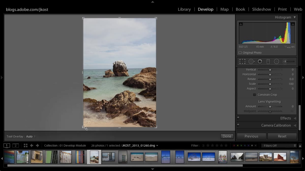 Two images displayed side by side in Lightroom&rsquo;s develop module
