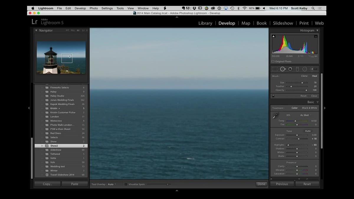 Navigator panel showing 1:1 zoom level selected