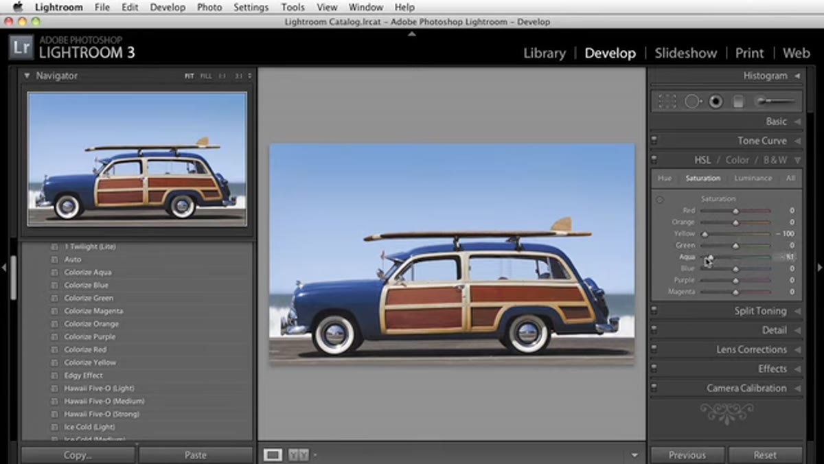 HSL panel with most color saturation sliders pulled to zero