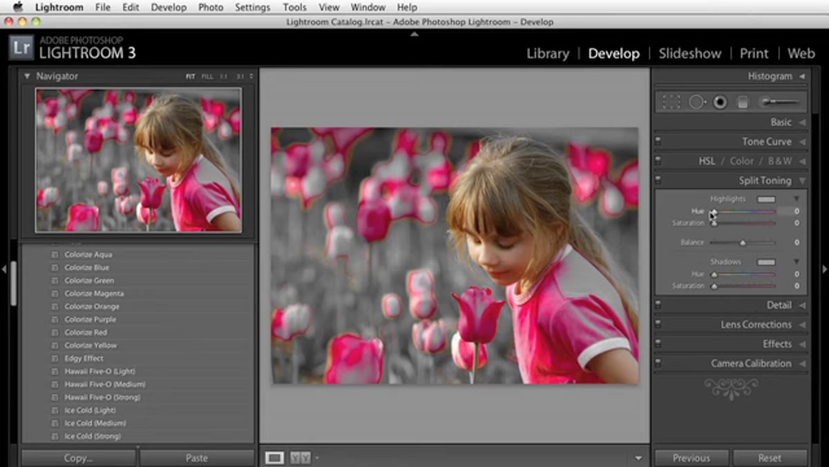 Split Toning panel with Hue slider adjusted and Saturation around 50