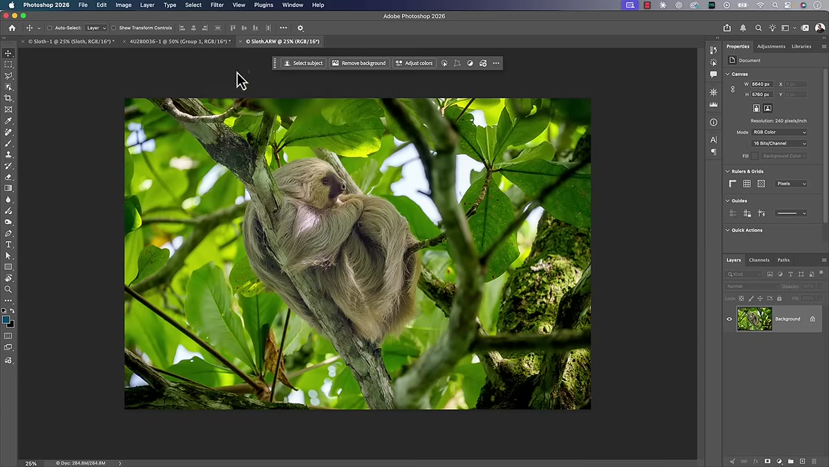 Filter menu open in Photoshop with Camera Raw Filter option visible