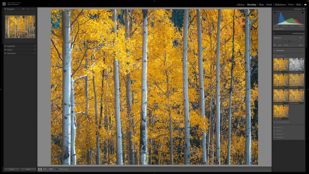 Adobe Color profile selected, shown as default in upper left of browser