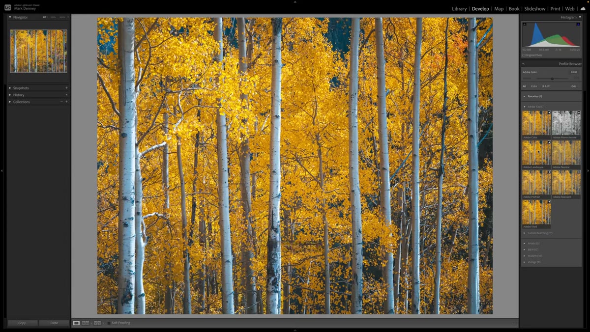 Adobe Landscape profile previewing on landscape photo, blues and greens intensified