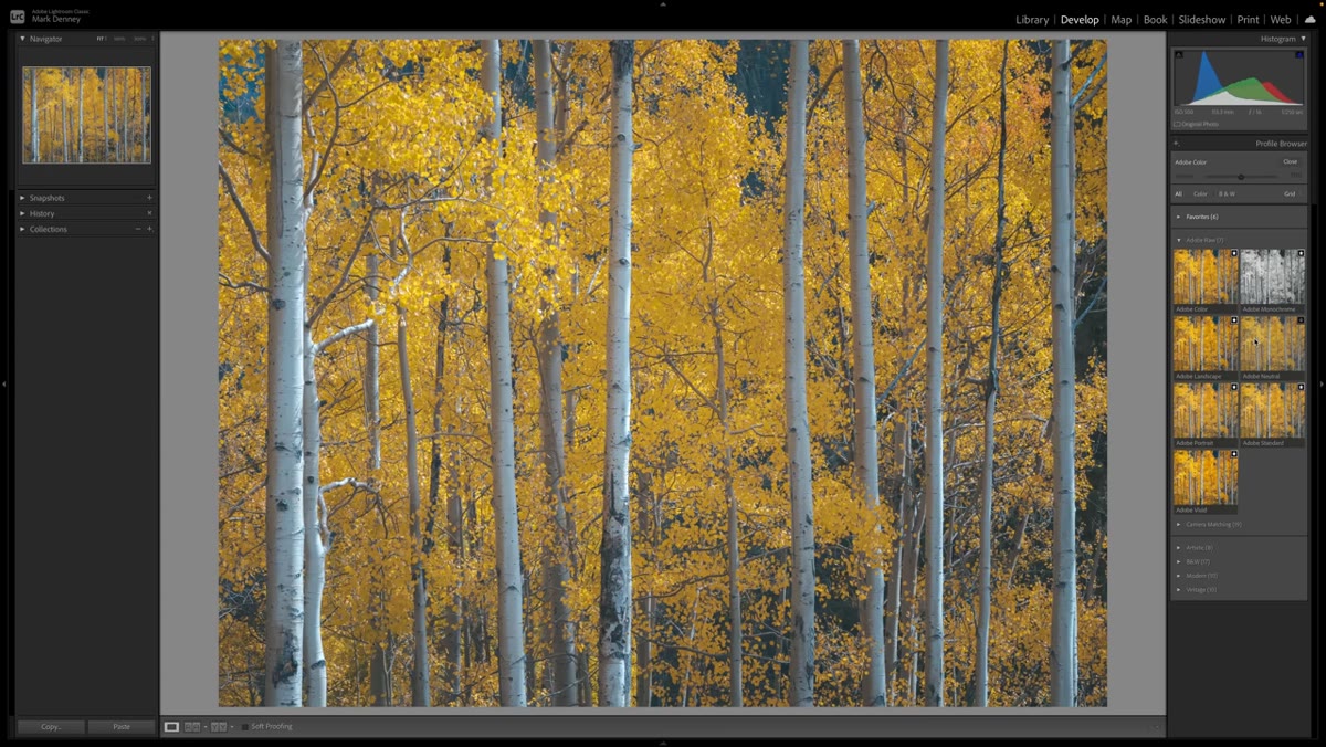 Adobe Neutral profile applied, visibly flatter and lower contrast than Adobe Color