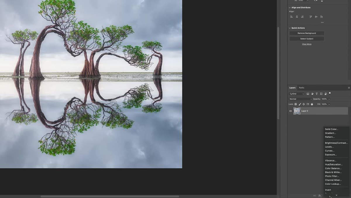 Adjustment layer menu open, Brightness/Contrast option being selected