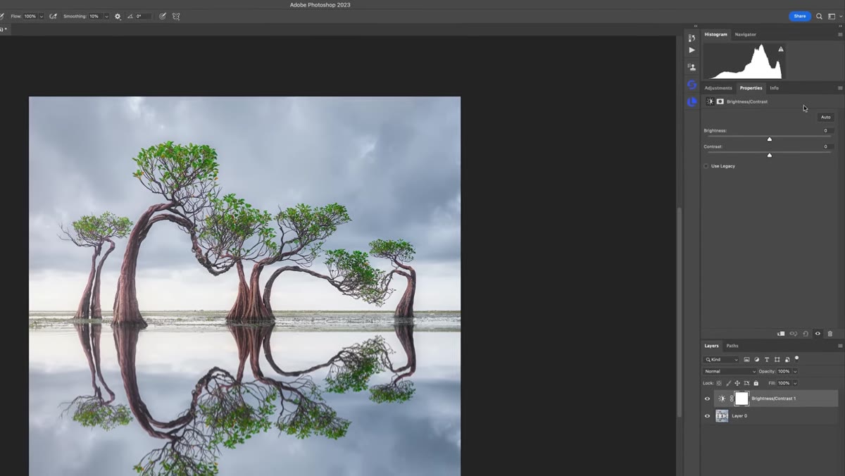 Brightness/Contrast properties panel open with sliders adjusted