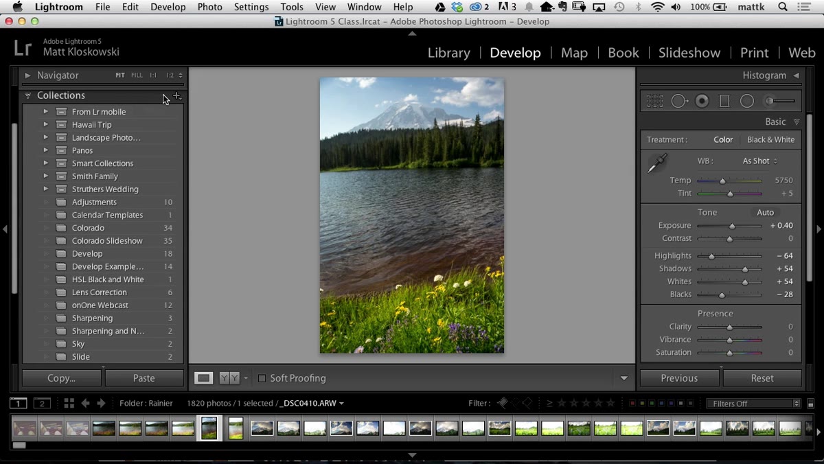 Collections panel with the plus icon highlighted