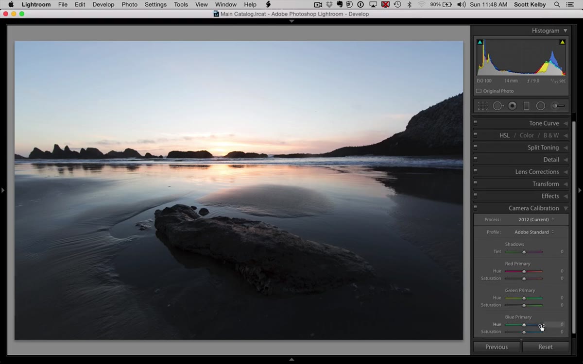 Switching from Adobe Standard to Camera Landscape profile
