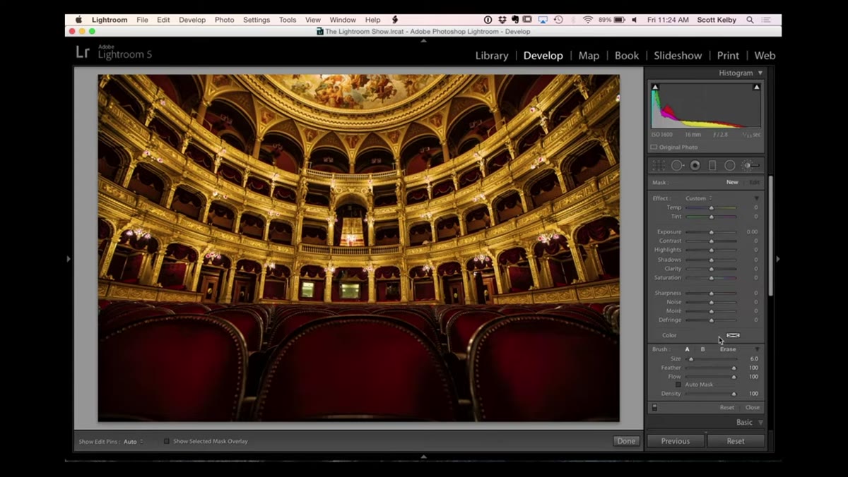 Adjustment Brush panel open in Lightroom Develop module