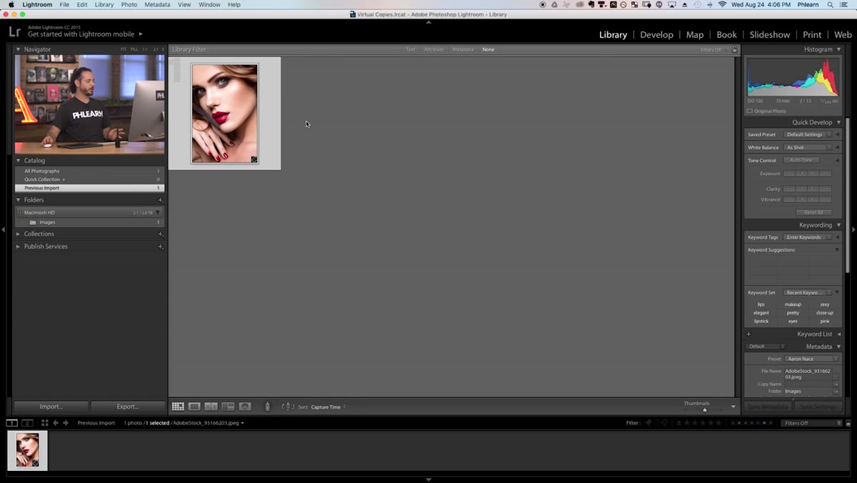 Grid view with single stock photo loaded in Lightroom library