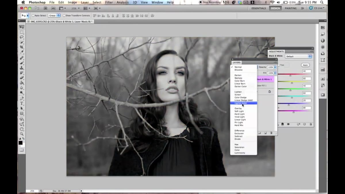 New adjustment layer menu with Black and White selected